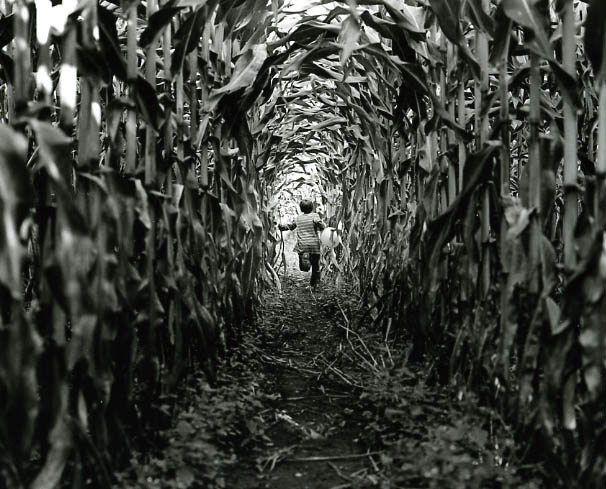 Run in the Corn