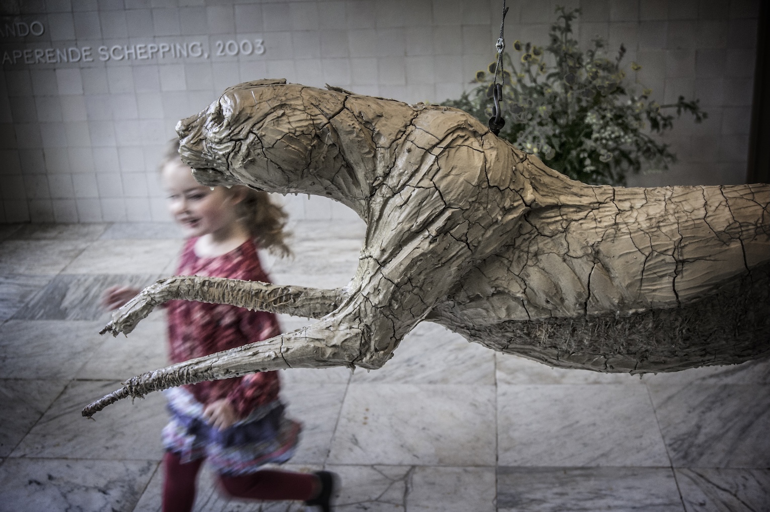 run like the wind!