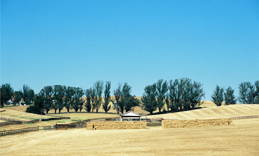 Rural Geometry 1