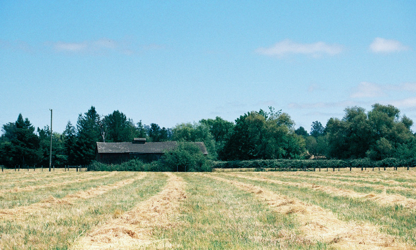 Rural Geometry 2