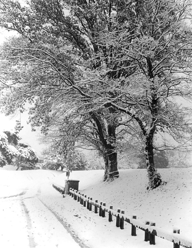 Ryde in Snow