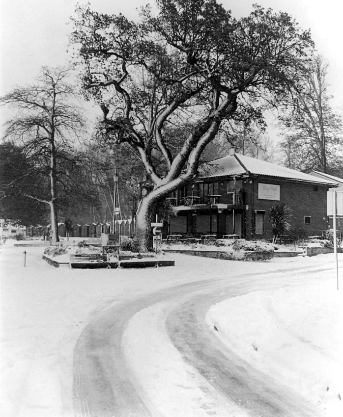 Ryde in Snow