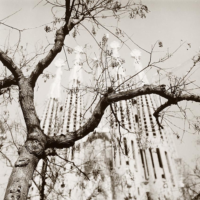 Sagrada Familia