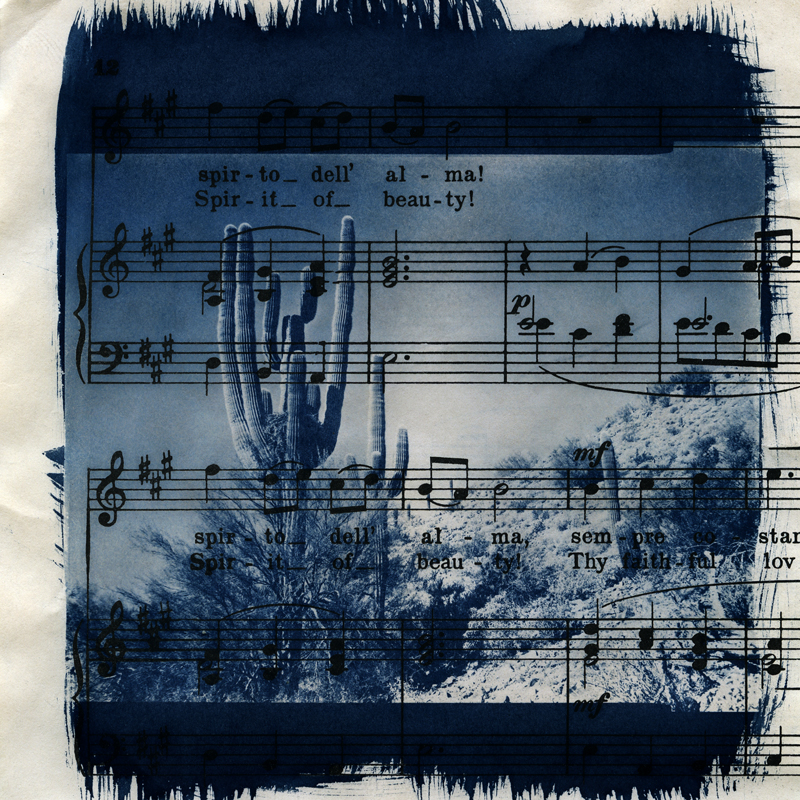 Saguaro Sonata