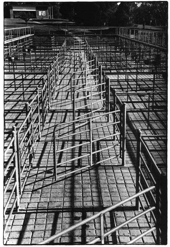 Saleyards