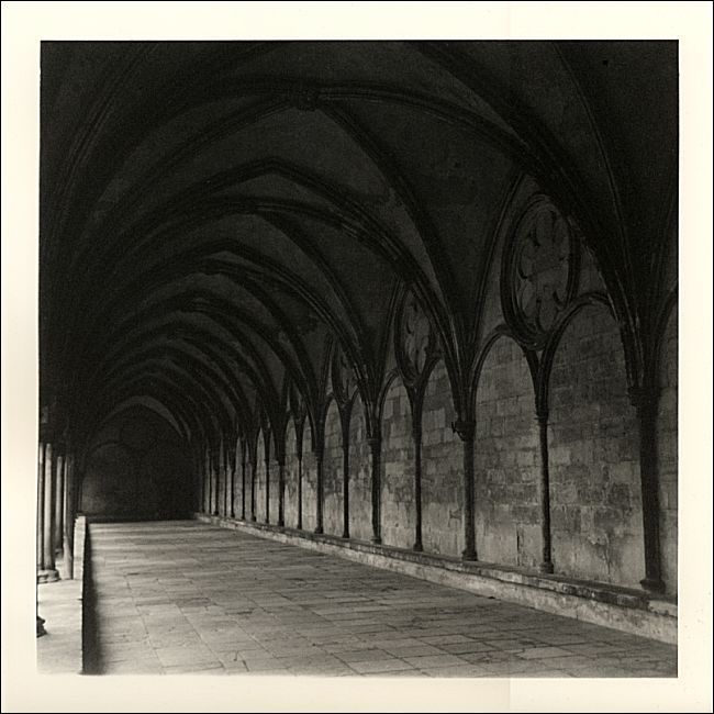 Salisbury Cathedral Cloister