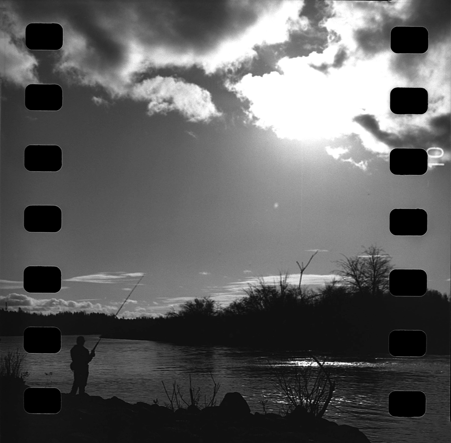 Salmon Fishing