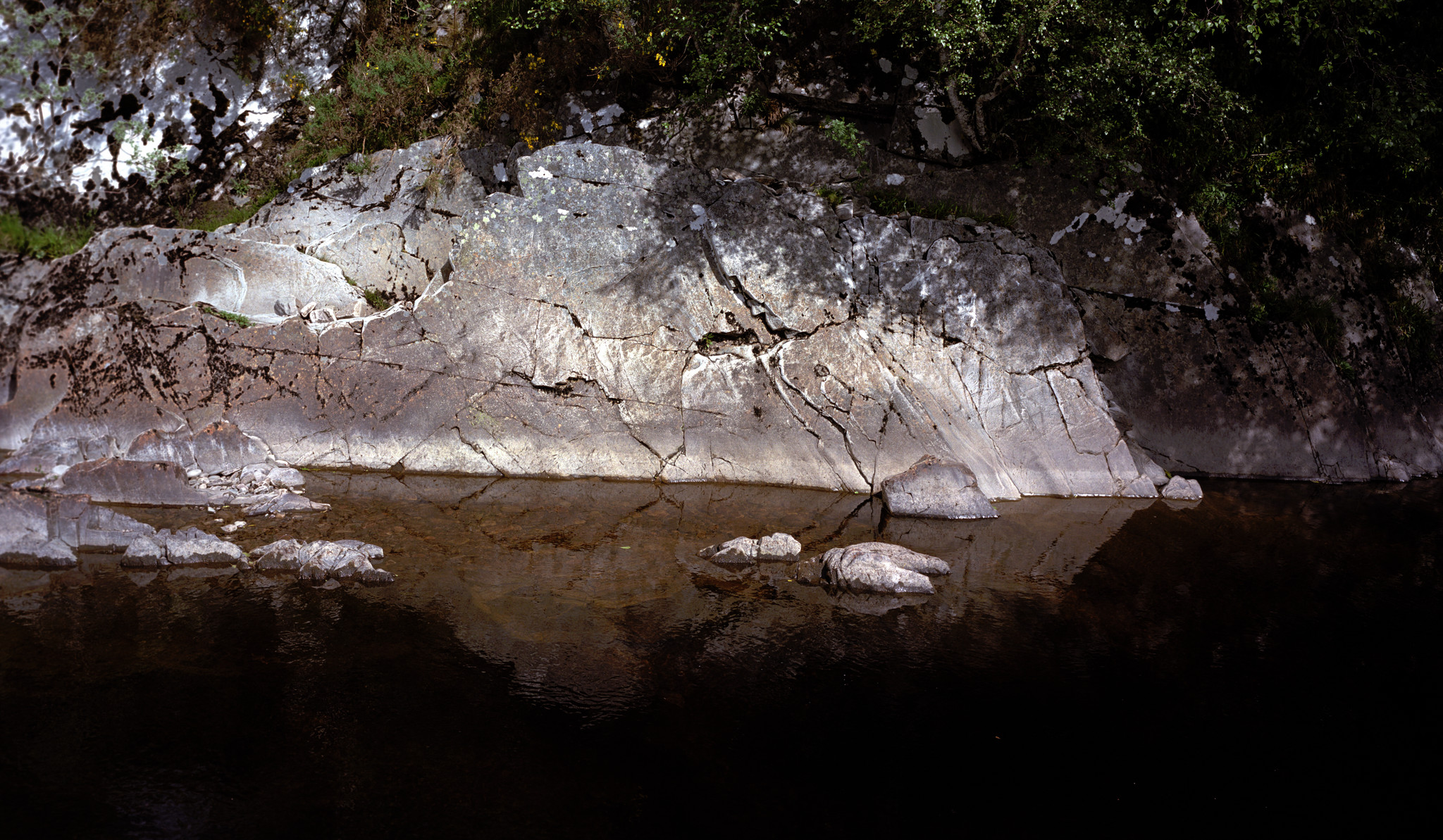 Salmon river detail - 2