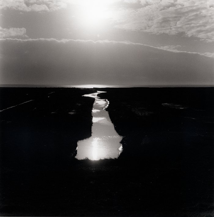 Salt Marsh