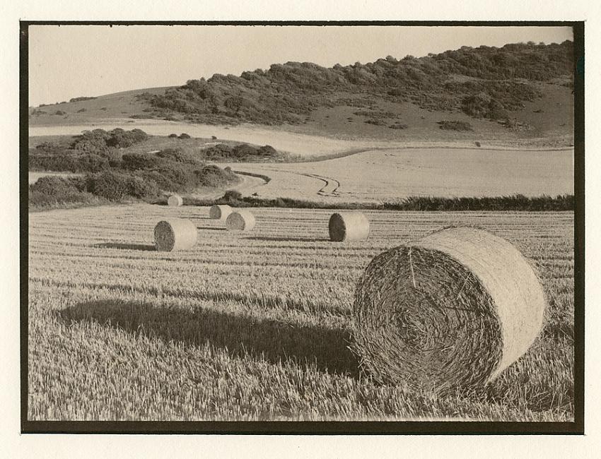 Salt print, South Downs harvest