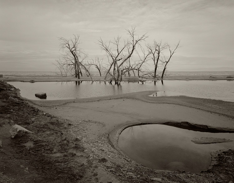 Salton Sea 2