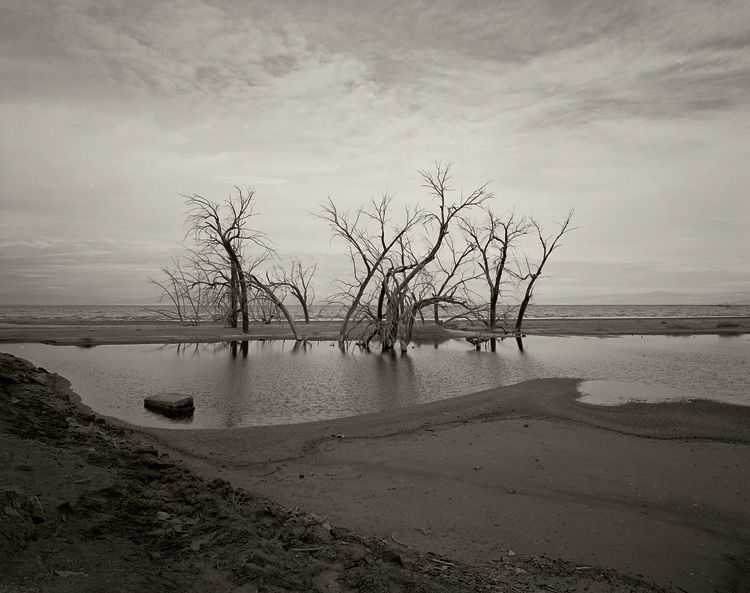 Salton Sea