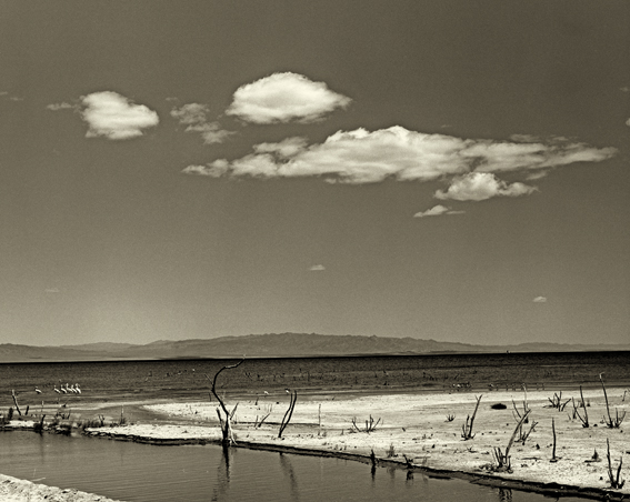 Salton Sea