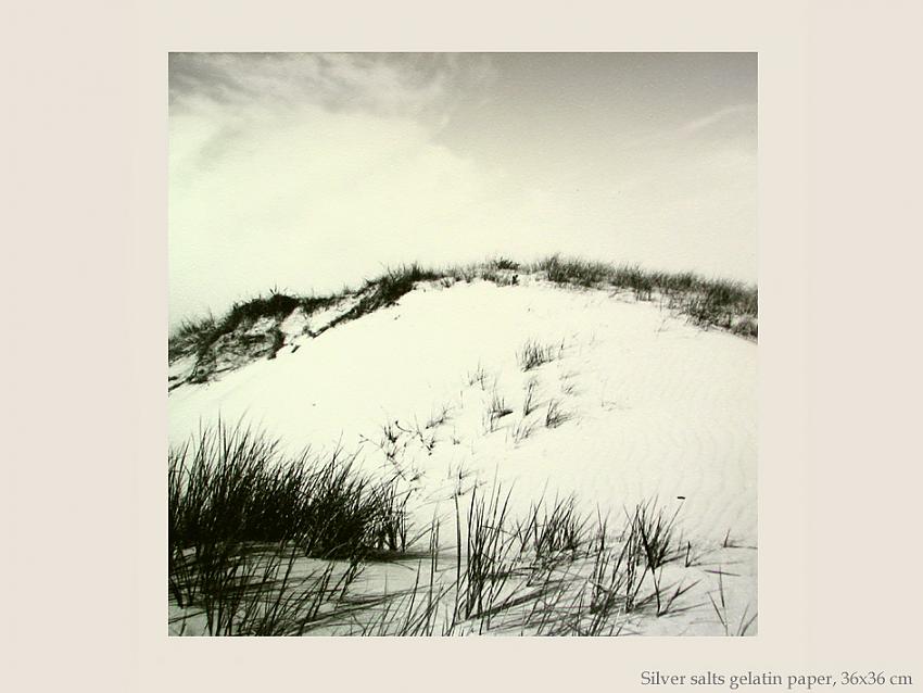 Sand dunes in Normandy