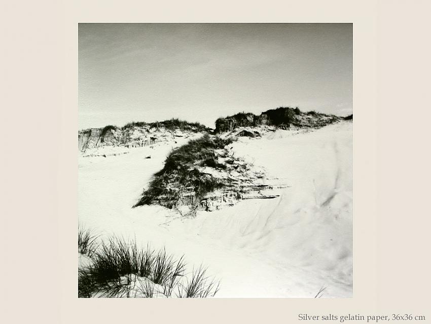 Sand dunes in Normandy