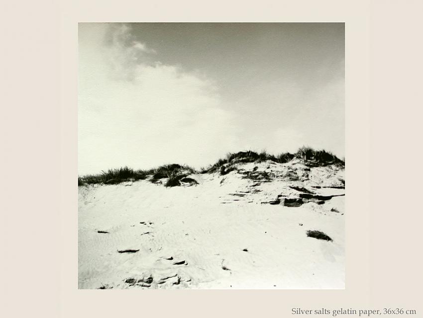 Sand dunes in Normandy