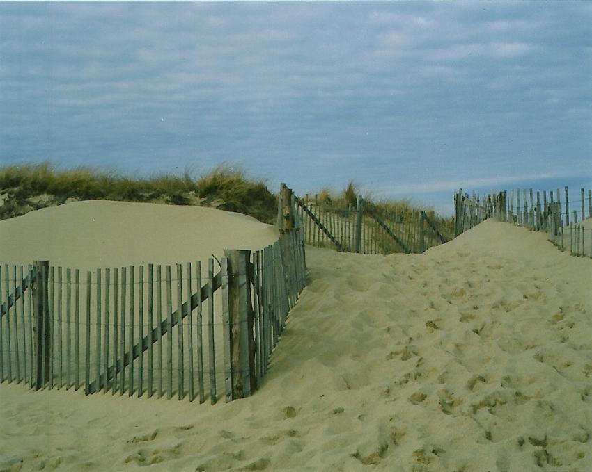 Sand Fence