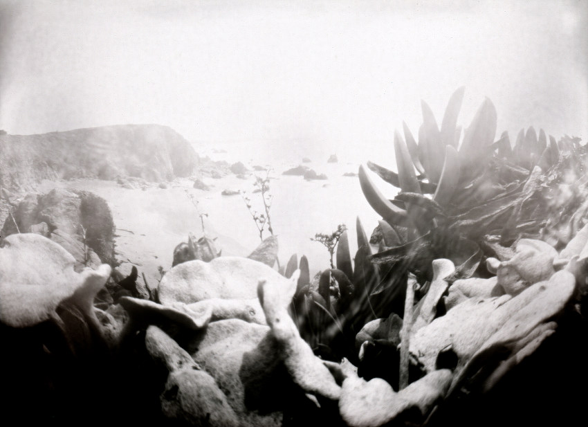 sand sea and sky