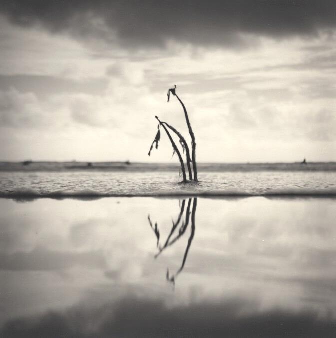 Sand, Seaweed, Surfers, Clouds