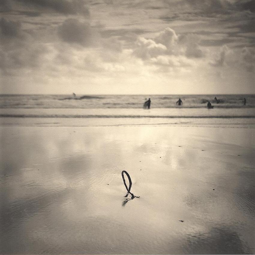 Sand, Seaweed, Surfers