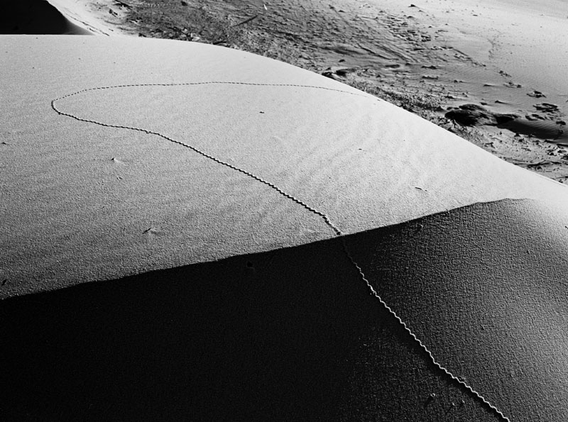 Sand Tracks.