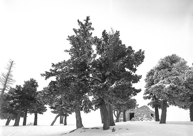 Sandia Cabin-2