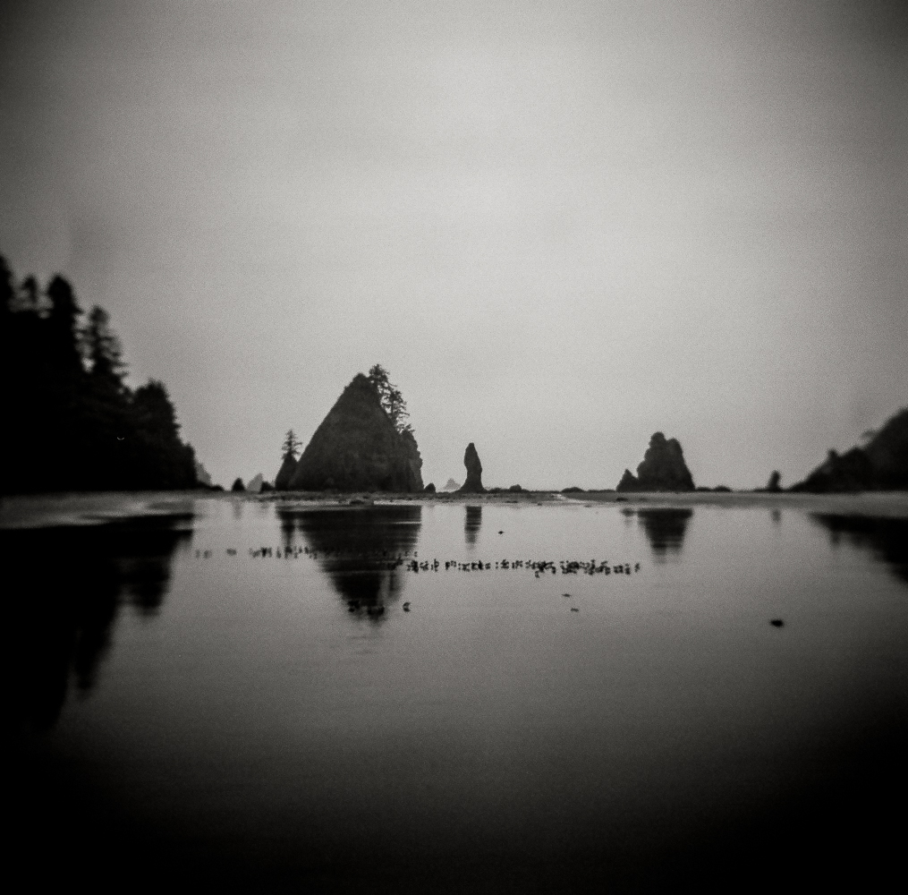 Sandpipers and Seastacks.jpg