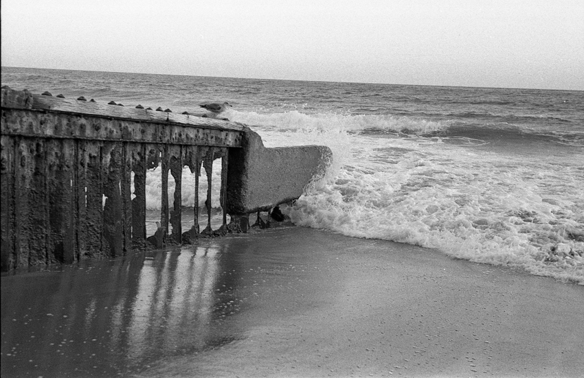 Santa Monica