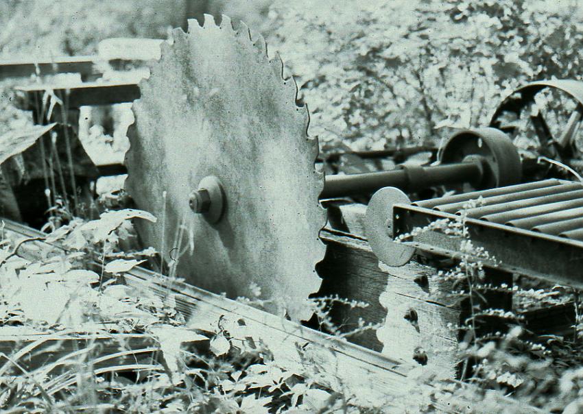 Saw Mill