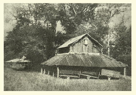SC Tobacco Barn