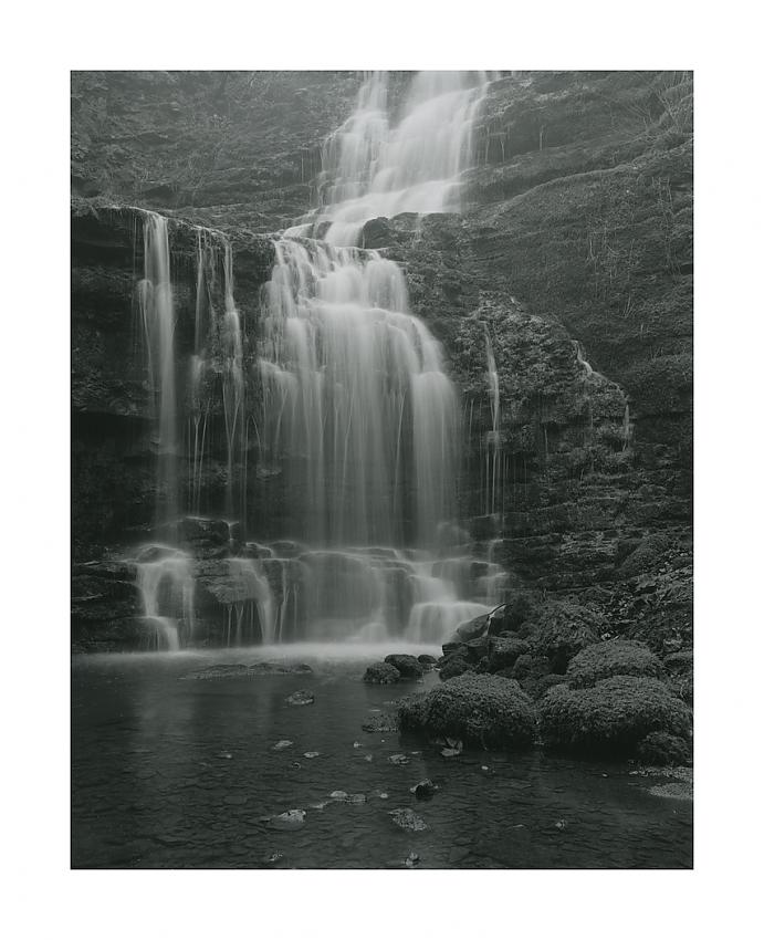 Scalebar force 1