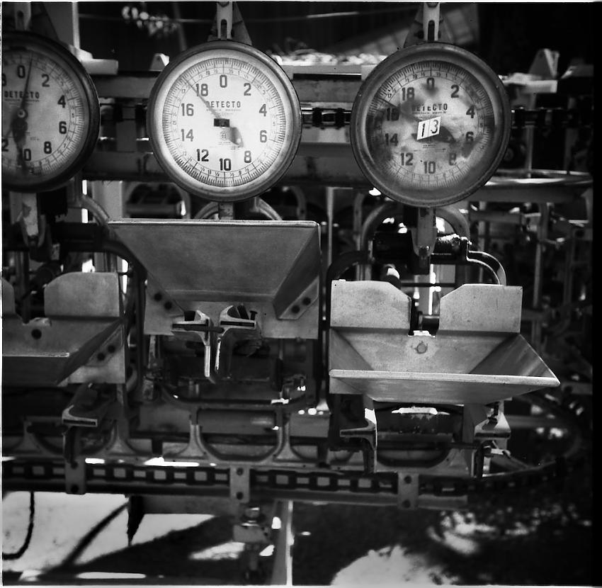 Scales