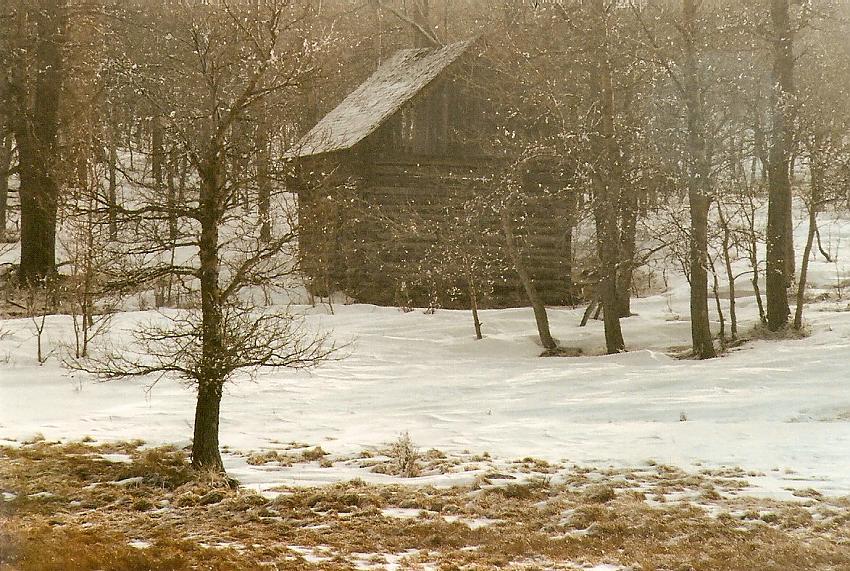 scan0041