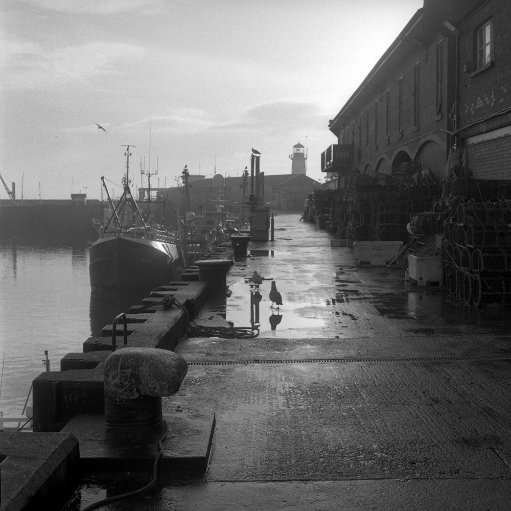 Scarborough Fishing Pier