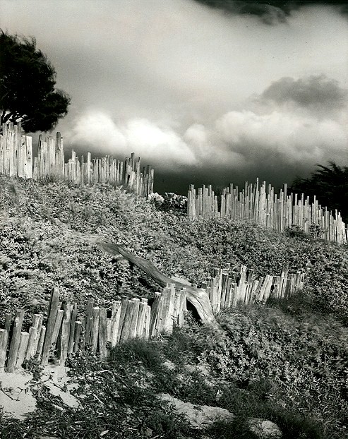Scenic Ave Fences
