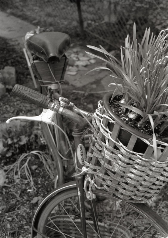 Schwinn planter