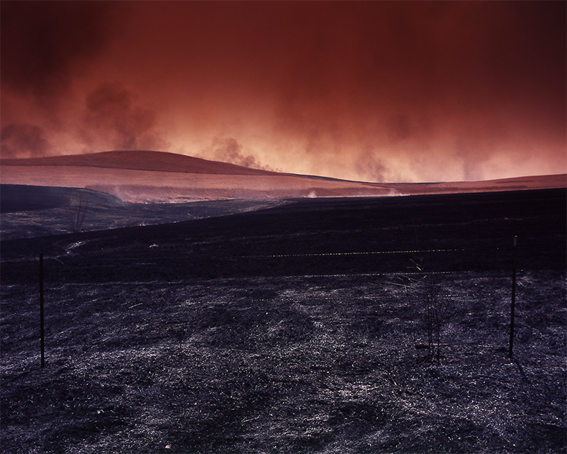 Scorched Earth