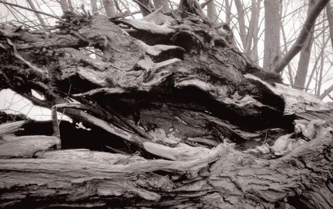 Scorched earth