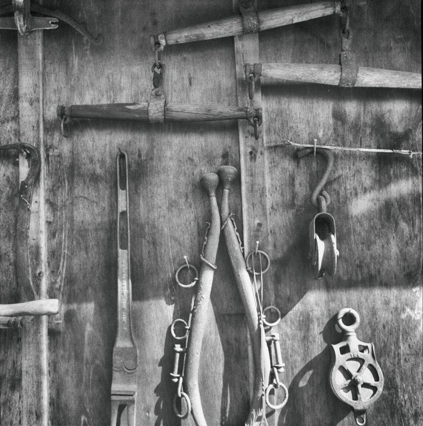 Scotty's Shed
