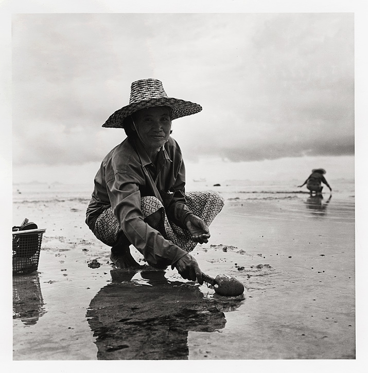 Scraping for shells