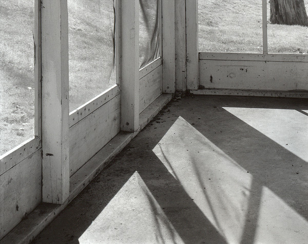 Screen Porch, Morning Light