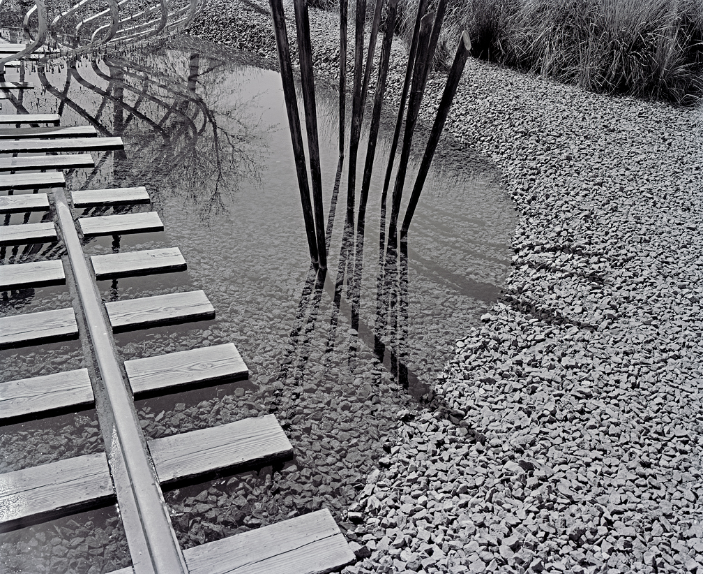 Sculpture Garden.jpg