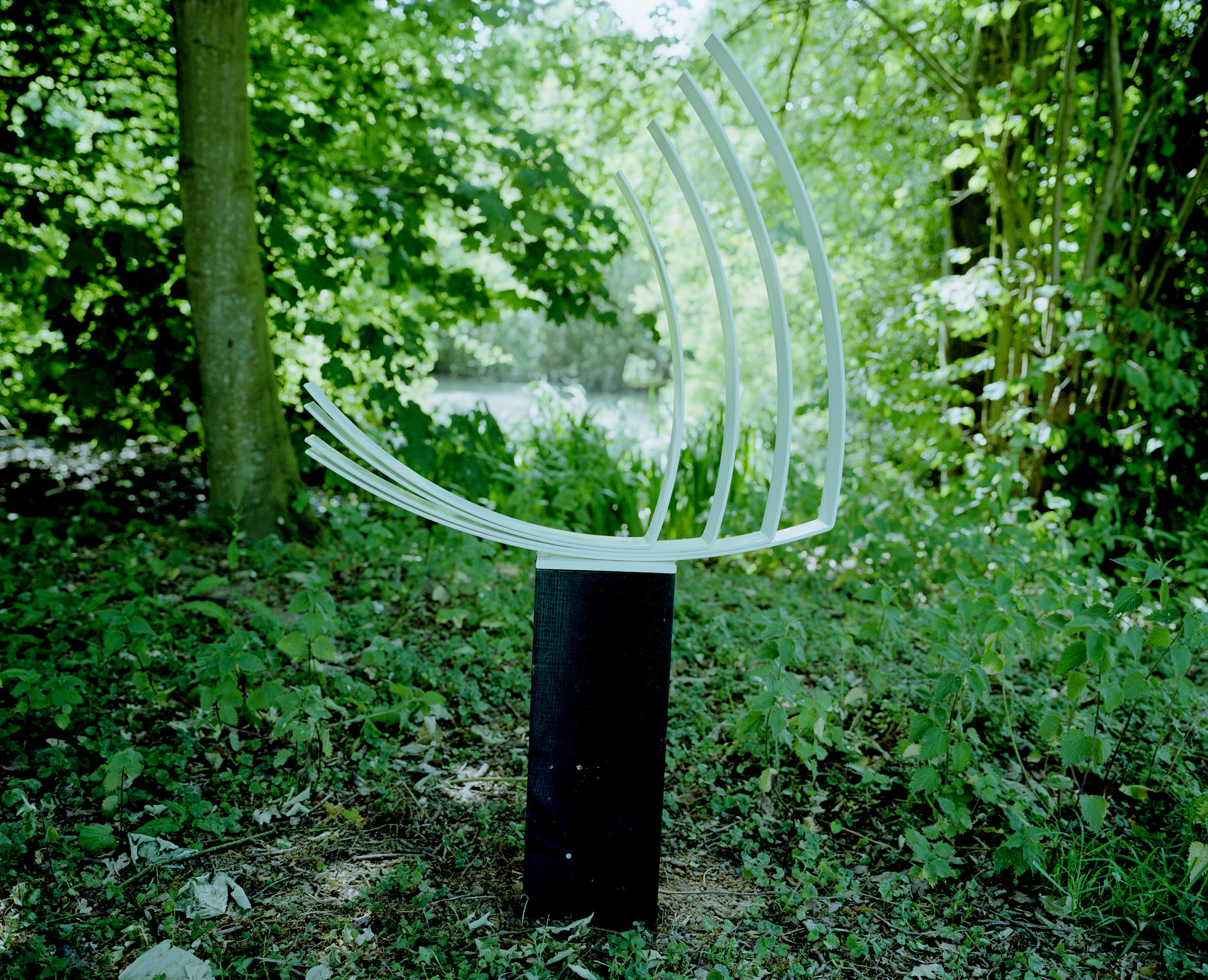 Sculpture in nature
