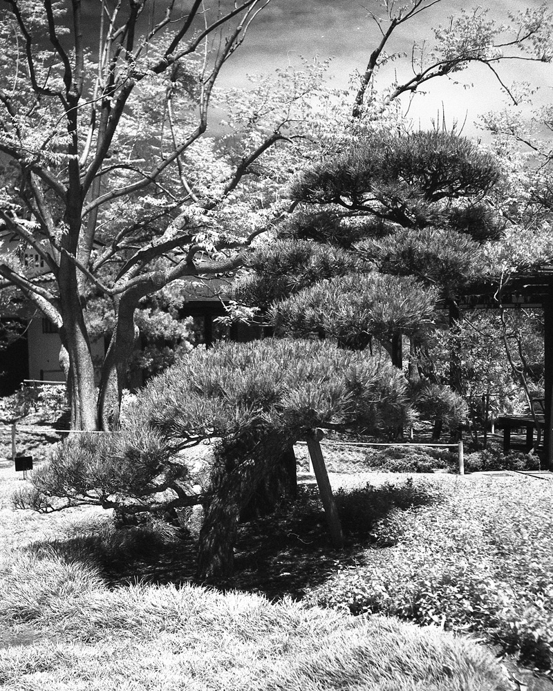 Sdgarden2
