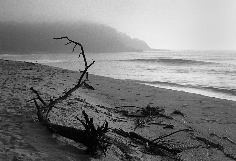 Sea Fog.