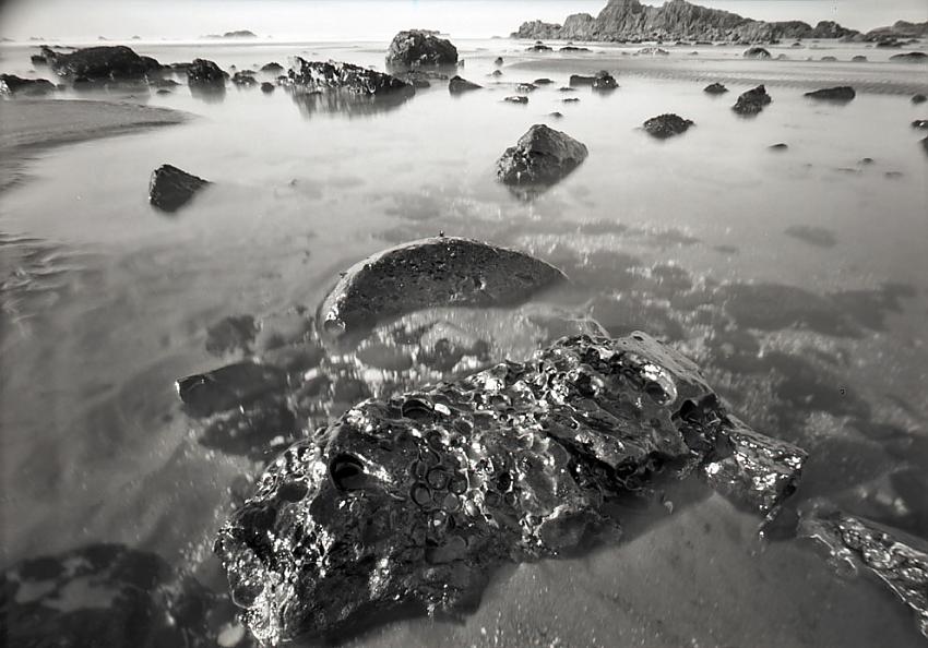 Seaside Pinholes #4