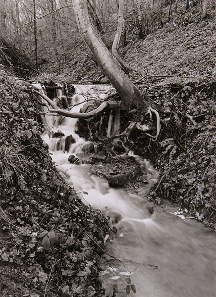 Seckley Coalworks