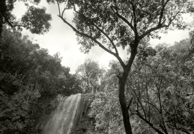 Secret Falls, Kauai  (view of the top)