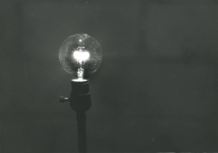 See the Light #3