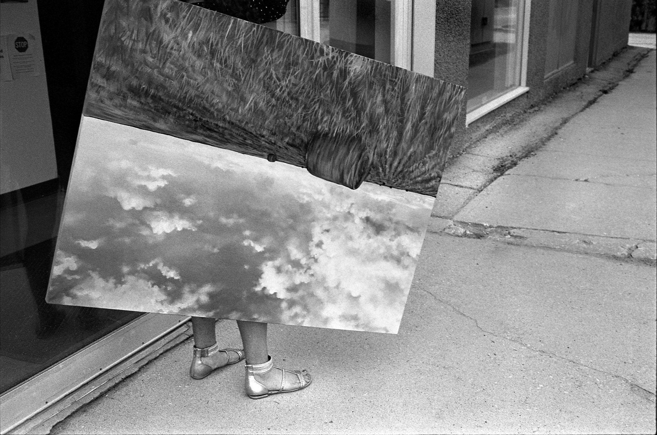 Seeing The Big Picture